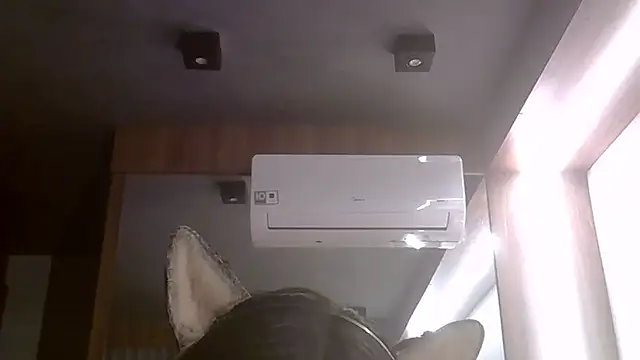 SkinnyKitten webcam