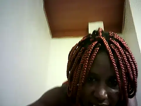 DelteAfriq webcam