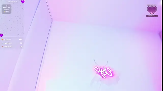 Ely-liones webcam