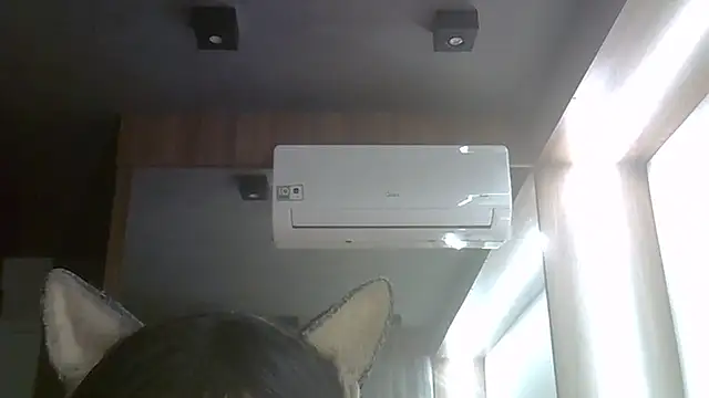 SkinnyKitten webcam