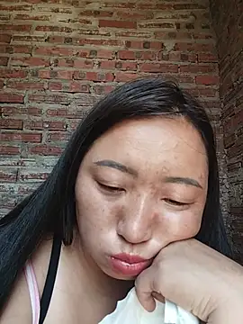 zhen-zo webcam