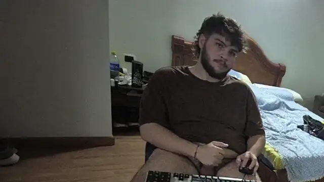 lipzard webcam