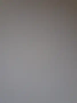 Tiomy99 webcam