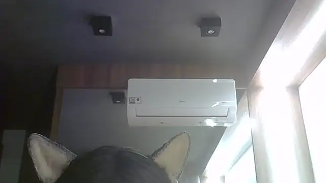 SkinnyKitten webcam