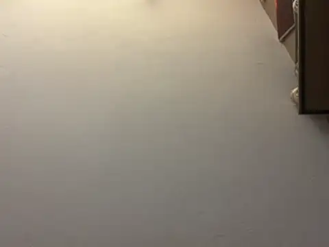 thisdordisd