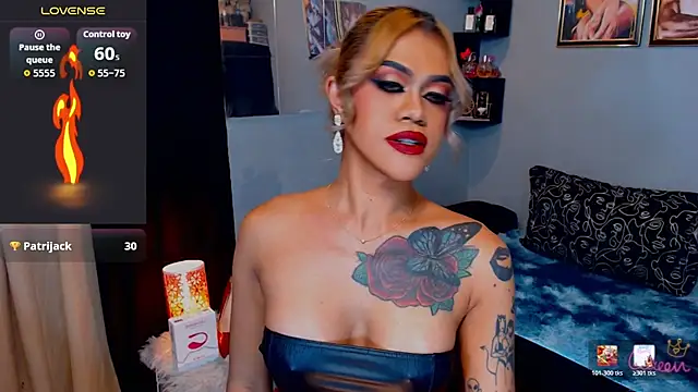 StellaStrong30 webcam