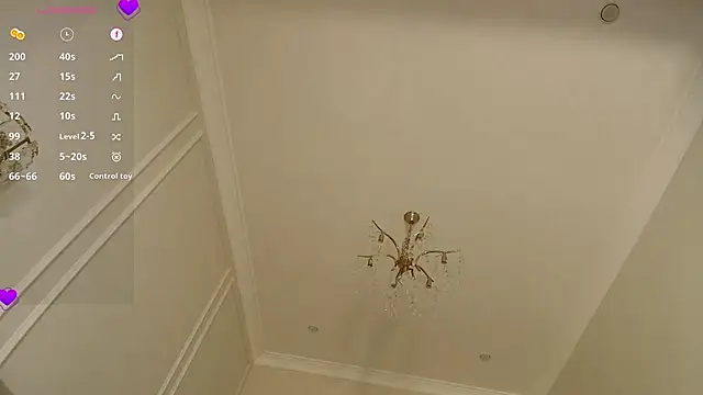 linbaelin webcam