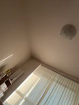 kotkite webcam