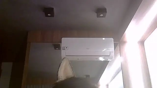 SkinnyKitten webcam