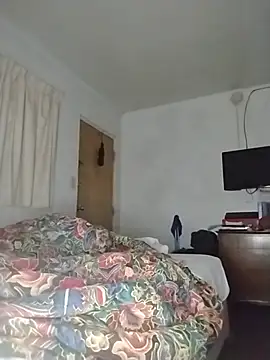 THEBEDroomdoOR webcam