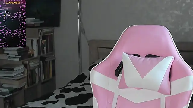 bbJ_one webcam