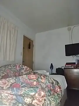 THEBEDroomdoOR webcam