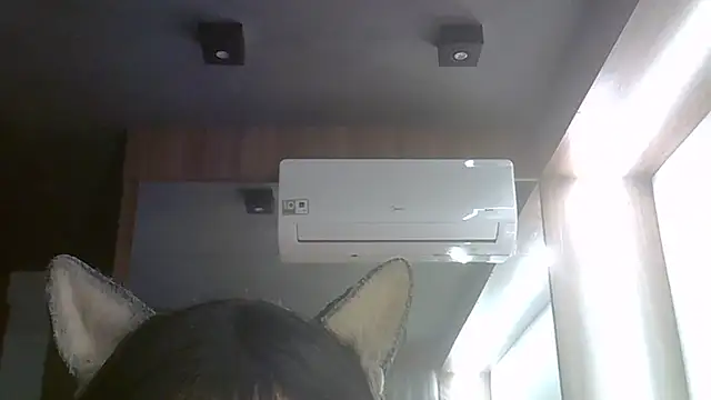 SkinnyKitten webcam