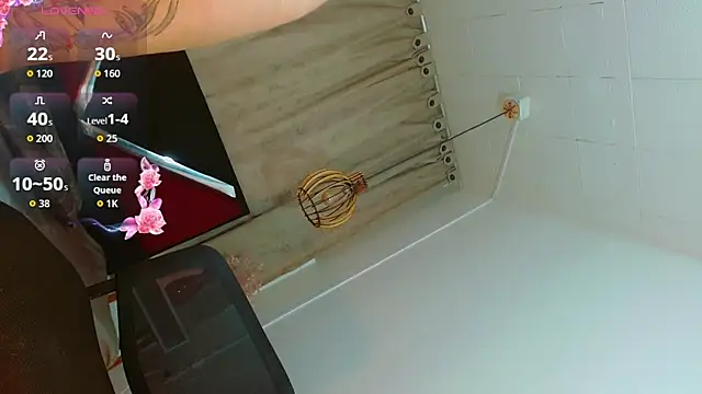 yised_hart webcam