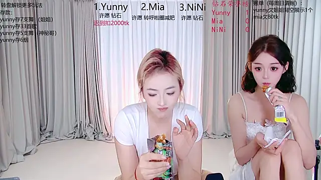 MiNi-U webcam