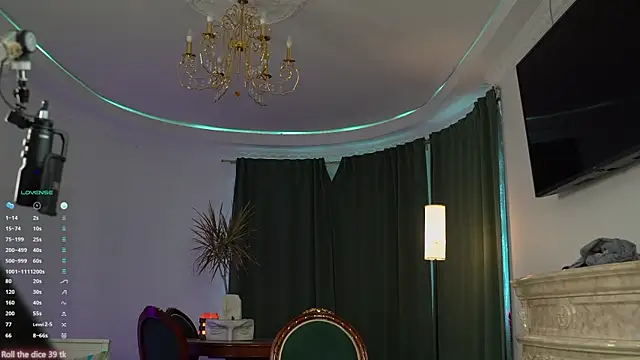 VIktorSecret webcam