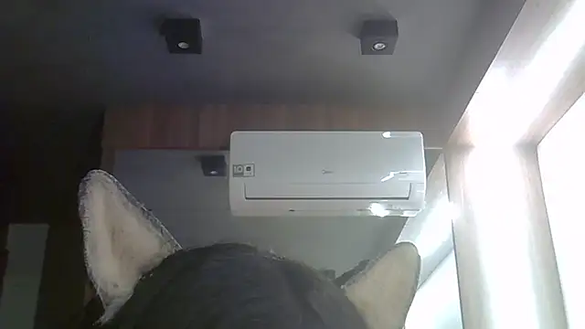 SkinnyKitten webcam