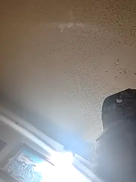 LoadedInstance4 webcam