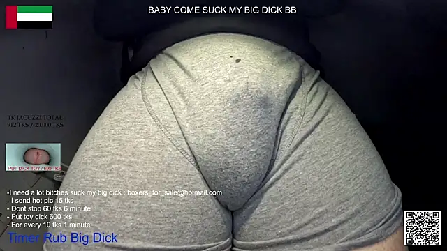 bfs26 webcam