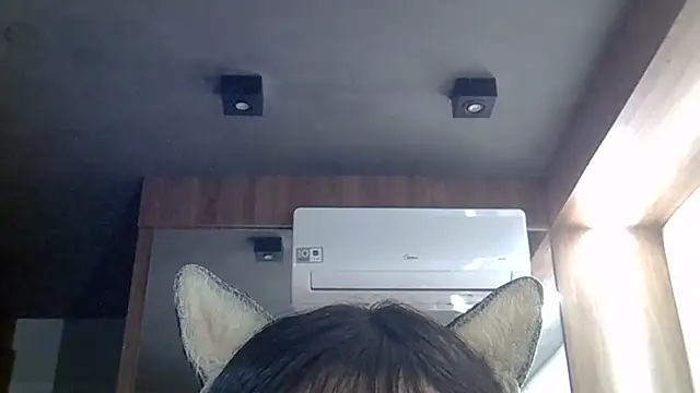 SkinnyKitten webcam