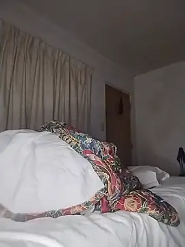 THEBEDroomdoOR webcam