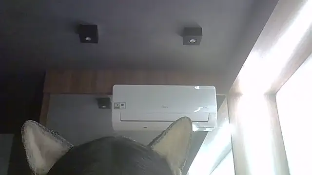 SkinnyKitten webcam