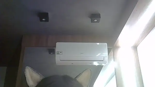 SkinnyKitten live cam on StripChat