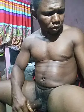 CDN2283 webcam