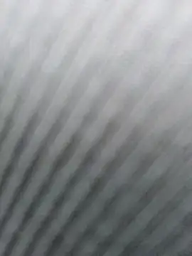 Love-public webcam