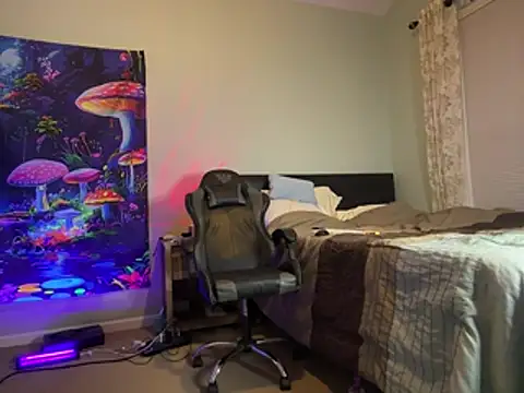 Sir_SeosCam1 webcam