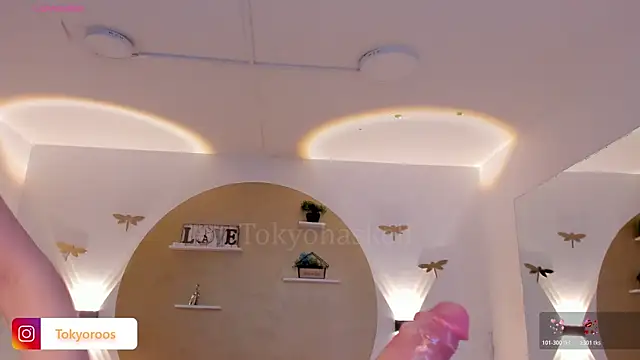 TokyoHaskel webcam