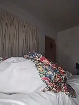 THEBEDroomdoOR webcam