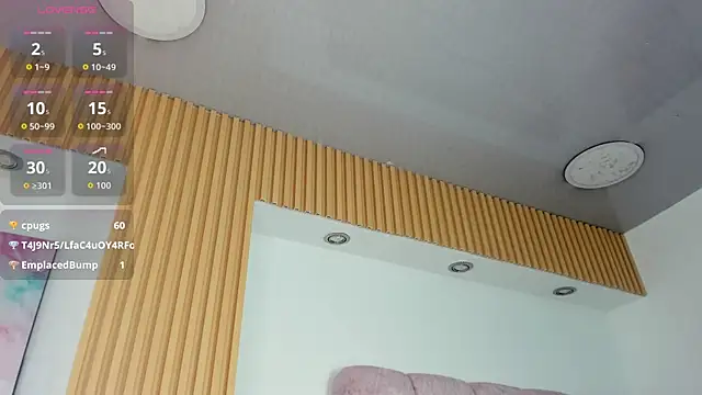 1Sloppy_Fox4 webcam