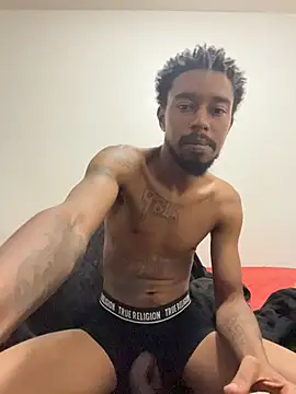 9blk webcam