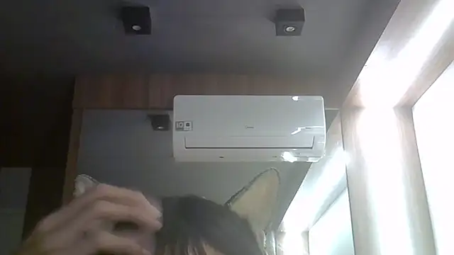 SkinnyKitten webcam
