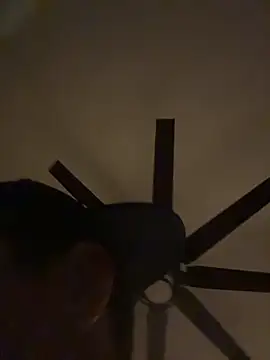 HectorSHot webcam