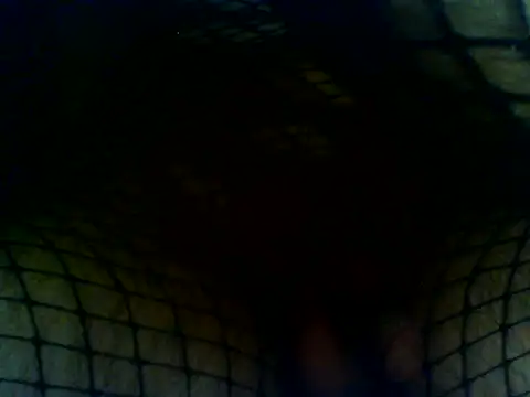 hotshell webcam