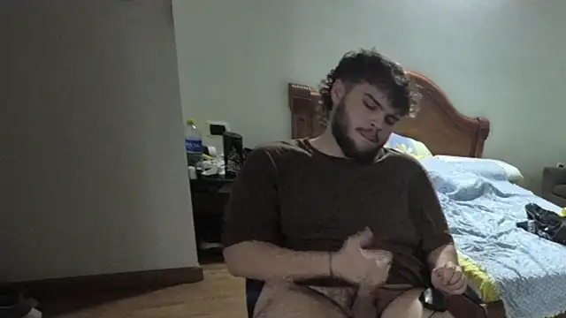lipzard webcam