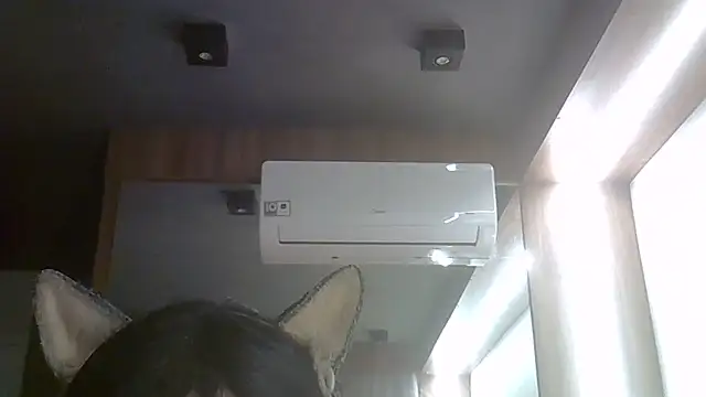 SkinnyKitten webcam