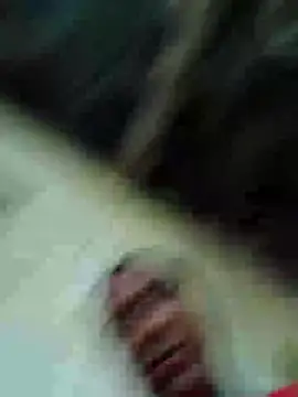 Loomaraj webcam
