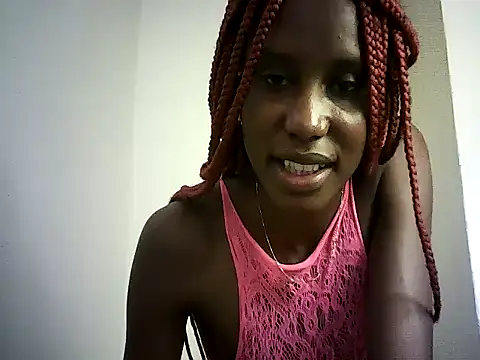 DelteAfriq webcam