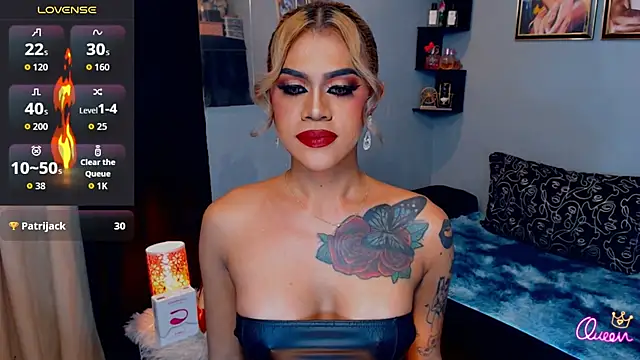 StellaStrong30 webcam