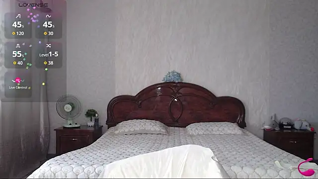 Batari webcam