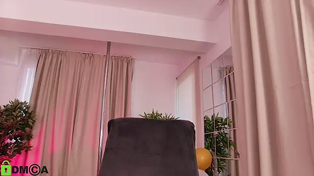 MayaSpringX webcam