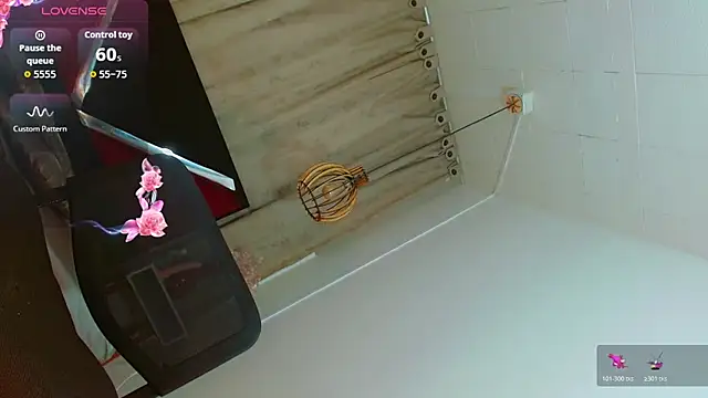 yised_hart webcam
