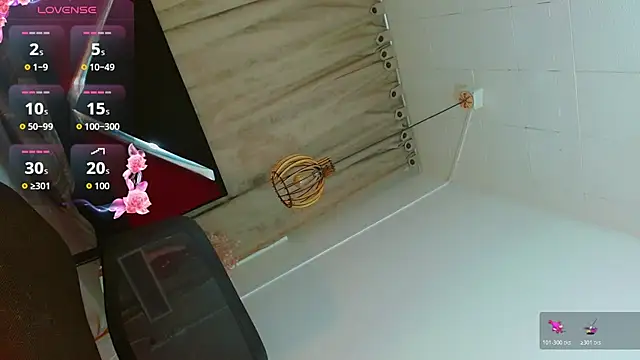 yised_hart webcam