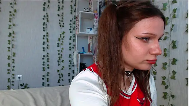 lilidip webcam