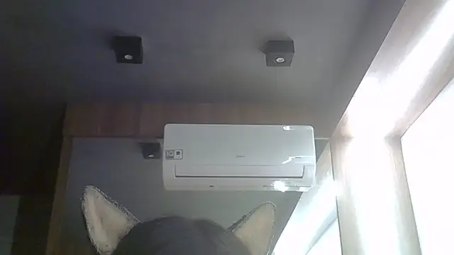 SkinnyKitten live cam