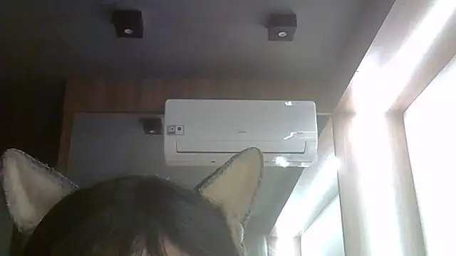 SkinnyKitten webcam