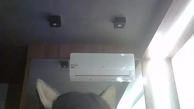 SkinnyKitten webcam